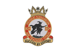 1104 Pendle Squadron