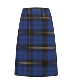 Lift New Rickstones Tartan Skirt (30"+)