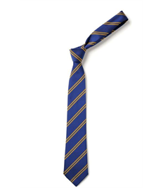 NRA School Tie