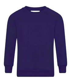 Acorn Sweatshirt - Plain, No Logo
