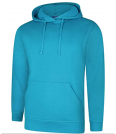 Ludlow College Hoodie