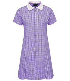 Acorn Purple Summer Dress
