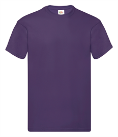 PE T-Shirt - House Colours - Plain, No Logo