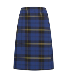 NRA Tartan Skirt (30"+)